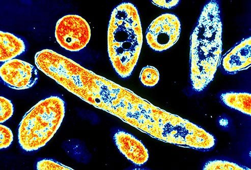 Our ancestors faced many viral illnesses as our species evolved.