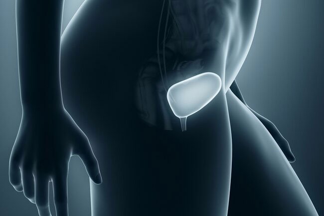 Kegels strengthen the pelvic floor muscles that support your bladder. 