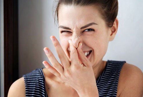 If your breath isn't the freshest, a dry mouth and plaque buildup are probably to blame.