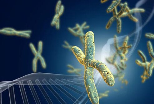 Signs of aging appear deeper than just your skin and hair.