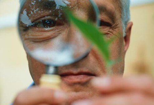 More and more studies have shown that people with a clear sense of purpose seem to be better protected from cardiovascular problems including heart conditions.