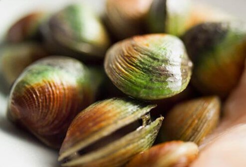 Shellfish include several popular food species, such as clams, oysters, mussels, and scallops.