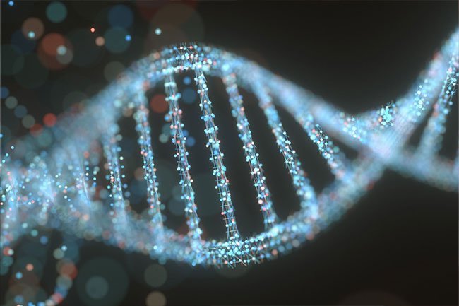 Genes, immune system problems, and stress may cause or make eczema worse. 