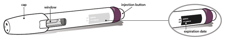 Injection pwn  - Illustration