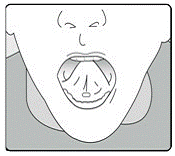 place it on the floor of your mouth - Illustration place it on the floor of your mouth - Illustration