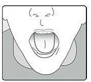 place it on the floor of your mouth - Illustration place it on the floor of your mouth - Illustration