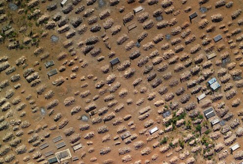 A graveyard of countless coffins in South Africa, where 250,000 died of AIDS in a single year.