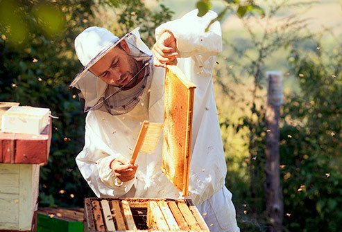 Most honey comes from farms where bees pollinate crops like berries, vegetables, fruit trees, and nut trees.