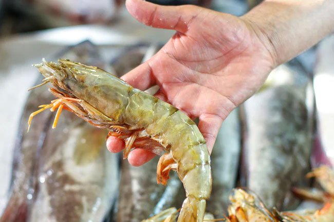 Shrimp range in size from regular size to jumbo or giant. 