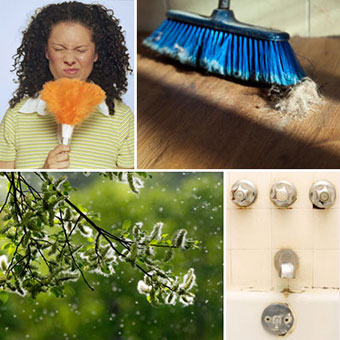 A collage shows various particles we breathe in, such as dust, dander, pollen, and mold.