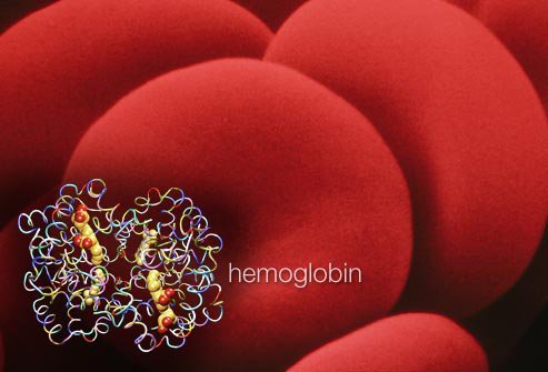 Hemoglobin in RBCs carries oxygen.
