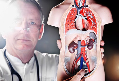 An aneurysm happens when pressure causes a weak point in a blood vessel to balloon and form a small sac or bulge. Some warning signs include severe headache, nausea, vomiting, double vision, seizures, cardiac arrest, and loss of consciousness.