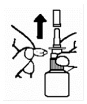 Remove dust cover and safety clip - Illustration Remove dust cover and safety clip - Illustration