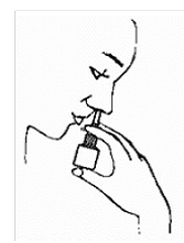 Hold bottle upright and aim the spray tip toward the back of your nose - Illustration Hold bottle upright and aim the spray tip toward the back of your nose - Illustration