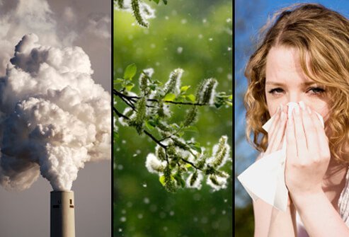 These triggers can cause inflammation and narrowing of your airways.