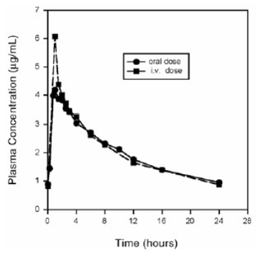Mean Steady-State Plasma Concentrations of Moxifloxacin - Illustration Mean Steady-State Plasma Concentrations of Moxifloxacin - Illustration