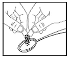 Sprinkle the pellets over approximately one tablespoon of applesauce - Illustration