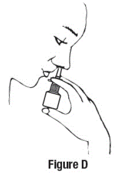 Place the spray tip about ¼ inch to ½ inch into 1 nostril - Illustration Place the spray tip about ¼ inch to ½ inch into 1 nostril - Illustration