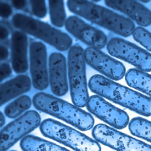 Interstitial Lung Disease Causes