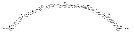 BAQSIMI (glucagon) Structural Formula  - Illustration