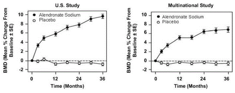 Osteoporosis Treatment in Studies in Postmenopausal Women
Time Course Effect of Alendronate Sodium 10 mg/day Versus Placebo: Lumbar Spine BMD
Percent Change From Baseline - U.S.Study - Illustration Osteoporosis Treatment in Studies in Postmenopausal Women
Time Course Effect of Alendronate Sodium 10 mg/day Versus Placebo: Lumbar Spine BMD
Percent Change From Baseline - U.S.Study - Illustration