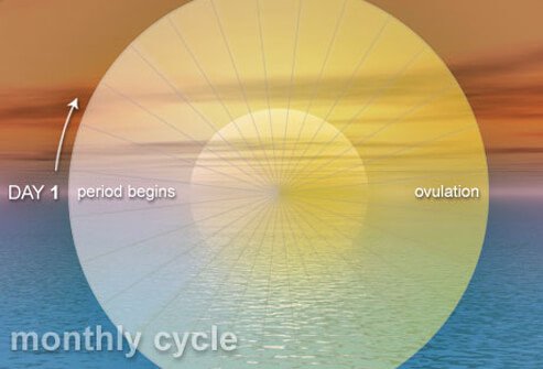 A graph of the most fertile days in a month, natural family planning.
