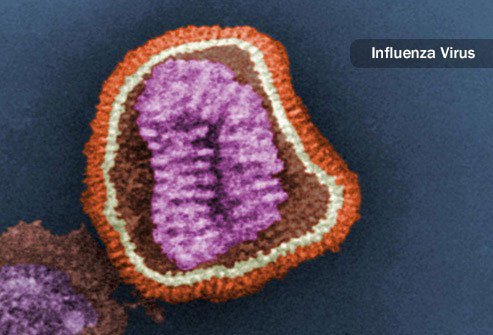 When your body fights the flu, it releases chemicals that cause body aches.