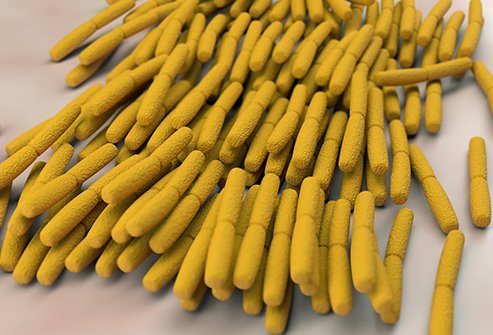 The botulinum toxin, produced by the Clostridium botulinum bacteria, can cause severe, deadly food poisoning. Researchers have also harnessed it cosmetically and therapeutically to paralyze specific muscles.