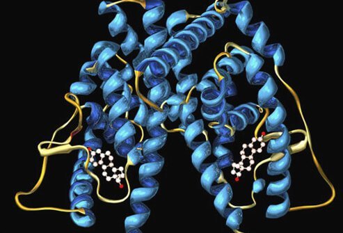 About two-thirds of breast cancers are hormone receptor-positive.