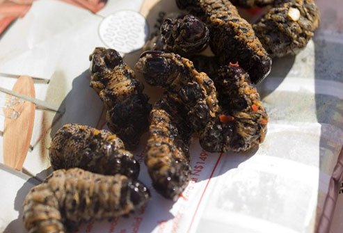 In parts of Africa, nearly 9.5 billion of these are harvested each year.