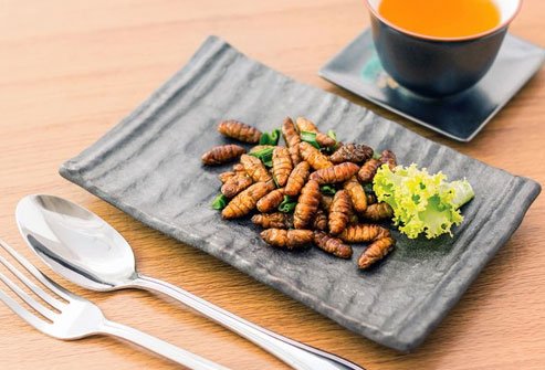 The adult is rich in protein and several vitamins and minerals.