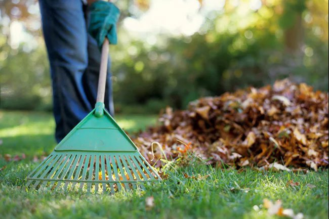 Raking your lawn and bagging the leaves is a great way to get exercise.