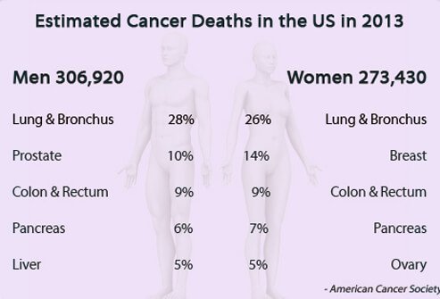 Estimated cancer deaths U.S. in 2013.