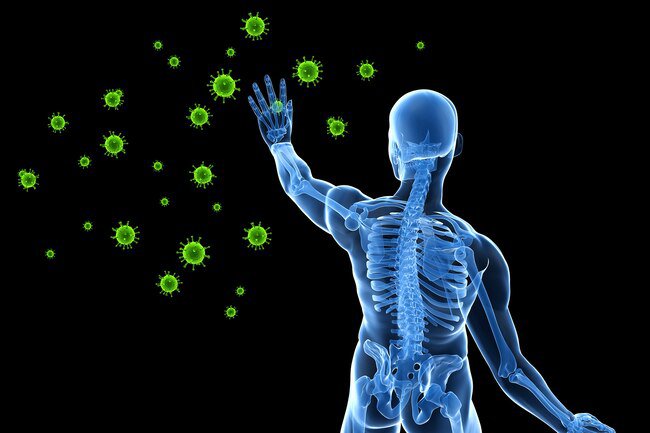 Regular aerobic exercise appears to help your body fight illness caused by viruses and bacteria.