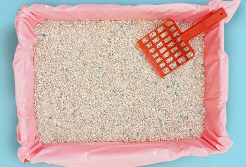 Photo of litter box.