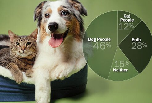 Photo of dog and cat.