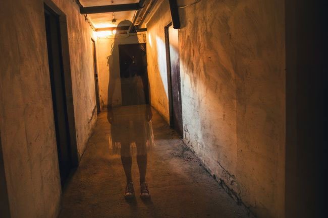 Most people have nightmares from time to time. 