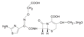 SUPRAX® (cefixime) Structural Formula Illustration SUPRAX® (cefixime) Structural Formula Illustration