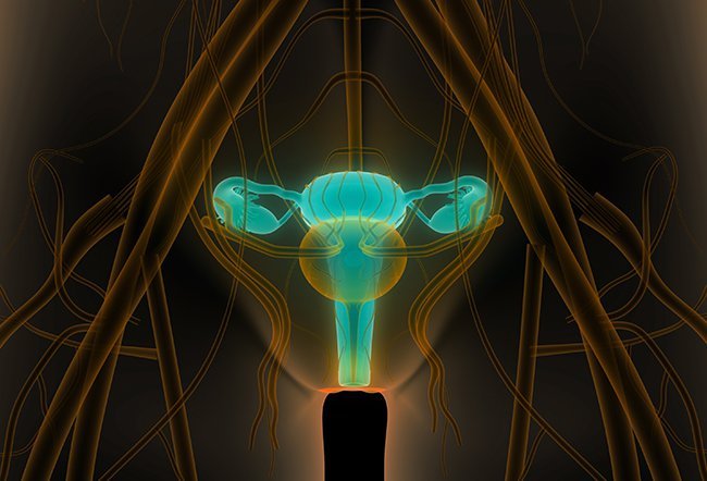 incompetent cervix