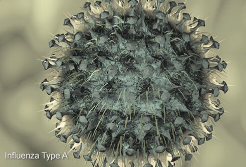 The flu typically is seen during the winter months and causes high fever, chills, body aches, and other symptoms.