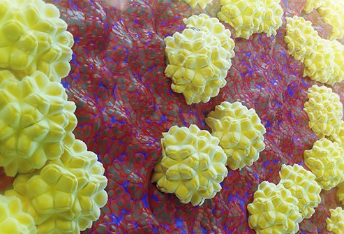 Chlamydia is a common bacterial sexually transmitted infection (STI) caused by the bacterium Chlamydia trachomatis and can be a cause painful urination.