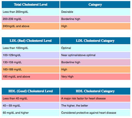 Chart of LDL and HDL Cholesterol Numbers