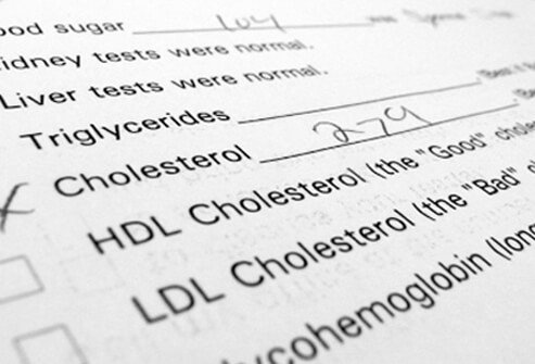 LDL is referred to as 'bad cholesterol' and HDL is referred to as 'good cholesterol.'