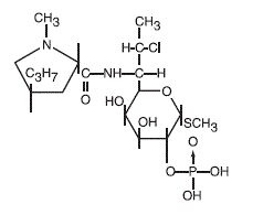Clindacin•P® (Clindamycin Phosphate) Structural Formula Illustration