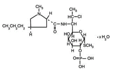 CLINDAMAX VAGINAL CREAM (clindamycin phosphate) Structural Formula Illustration CLINDAMAX VAGINAL CREAM (clindamycin phosphate) Structural Formula Illustration