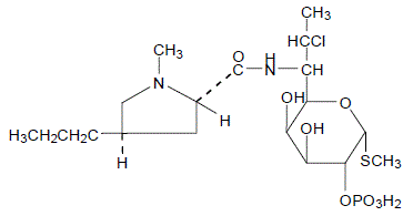CLINDETS (clindamycin phosphate) Structural Formula Illustration