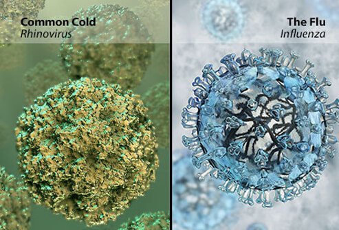 Cold vs. Flu