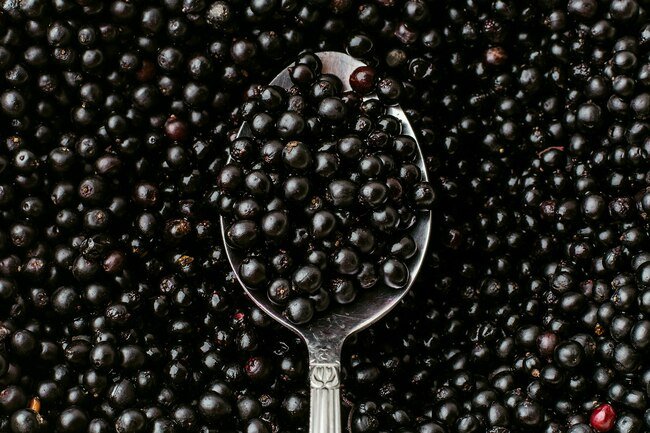 Elderberries contain lectin and cyanide that may make you feel sick.