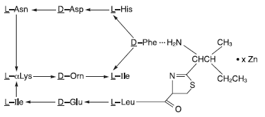 Bacitracin zinc structural formula illustration Bacitracin zinc structural formula illustration