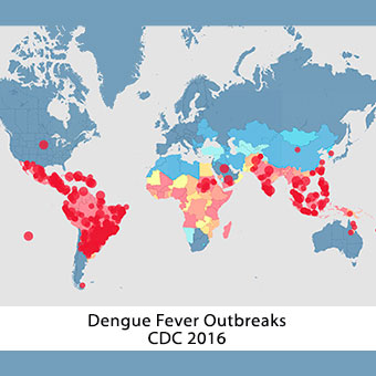 Dengue fever affects tropical areas around the world.